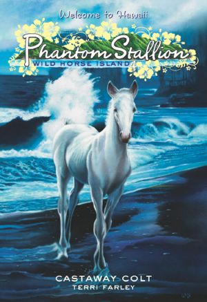[Phantom Stallion: Wild Horse Island 04] • Castaway Colt